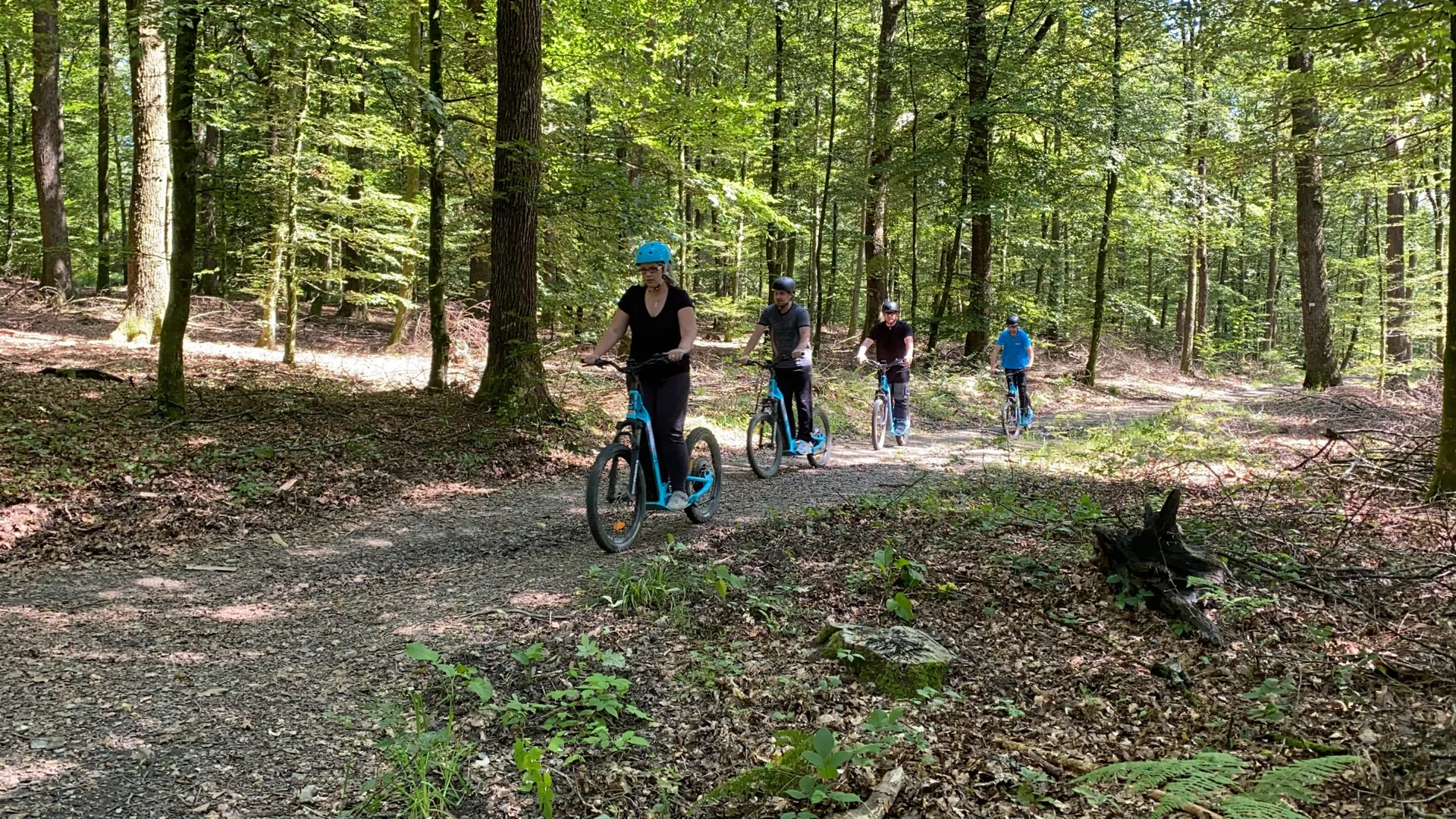 Balade en trottinette électrique tout-terrain avec I.D. Trotti dans une forêt des Ardennes belges près de Bastogne.